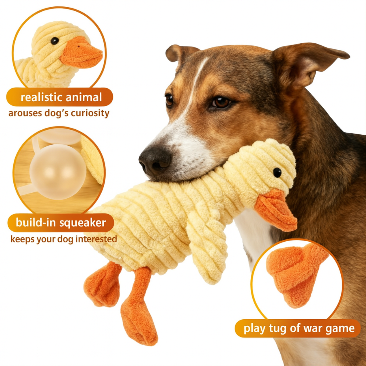 5 Pack Tough Dog Toys Stuffed Squeaky Assortment Plush Animal Toys Cute Fall Collection Fun Set