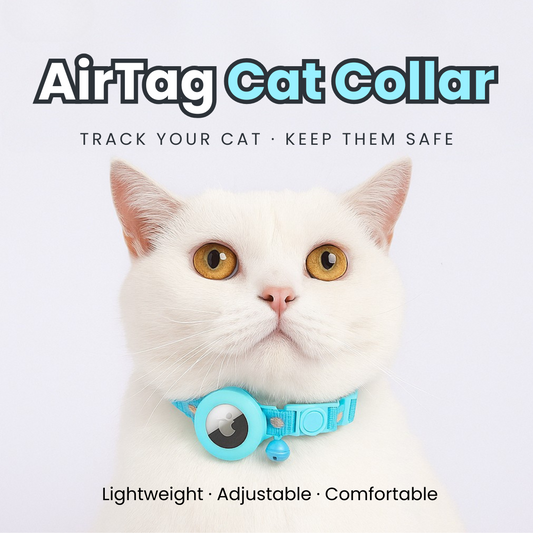 AirTag Cat & Puppy Collar Breakaway with Bell